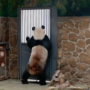 Meet your Posher, Lee